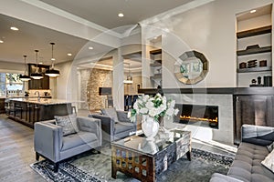 Chic living room filled with built-in fireplace photo