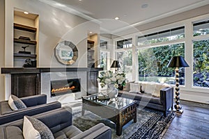 Chic living room filled with built-in fireplace photo