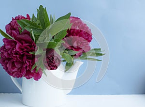 Chic pions for mother `s day, photo opening with flowers, fuxia flowers pions, flowers for women, flowers for mother, women `s day