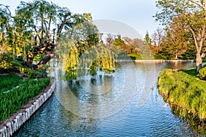 Chicago Botanic Garden