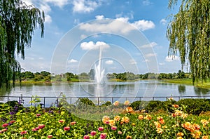 Chicago Botanic Garden Landscape with fountain in the pond, Glencoe, USA photo