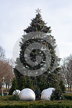 Chicago Christmas Tree at Millennium Park along Michigan Avenue in Chicago