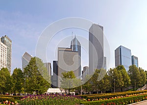 Chicago cityscape panorama
