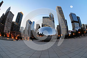 Chicago Cloud Gate