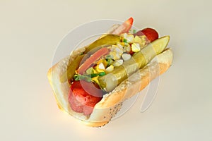 Chicago Hot Dog photo