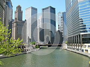 Chicago River Architecture