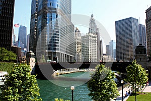 Chicago River City View
