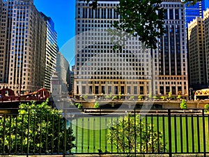 Chicago River on a colorful summer morning in the downtown Loop