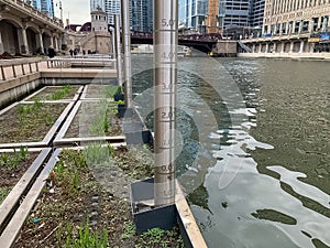 Chicago river floating ecosystem with trash and plastic build up