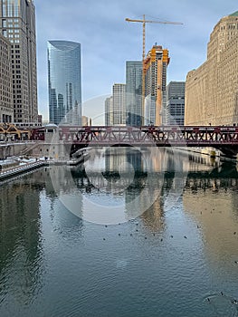 Chicago River scenics with architecture, reflections, ducks, construction