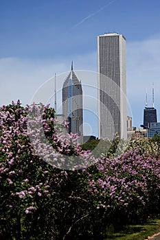 Chicago's AON tower