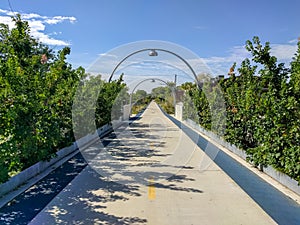 Bloomingdale Trail in Chicago, USA photo