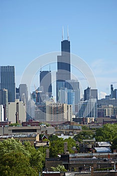 Chicago Sears Tower photo