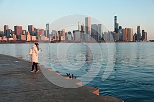 Chicago Skyline from Across the Lake