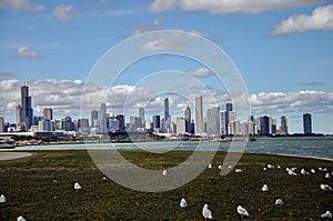 Chicago Skyline and Lake Michigan