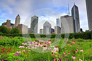Chicago skyline from Lurie Garden