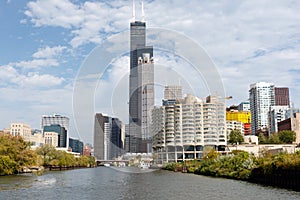 Chicago skyline wtih Sears Tower photo