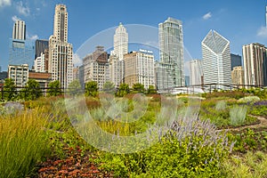 Chicago skyscrapers