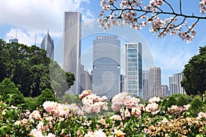 Chicago spring skyline