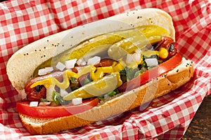 Chicago Style Hot Dog