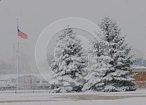 Chicagoâ€™s Halloween Snow Storm #1