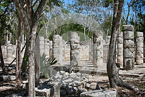 Chichen Itza - Columns of the Temple of the Thousand Warriors stone columns adorned with Mayan civilization creating a corridor