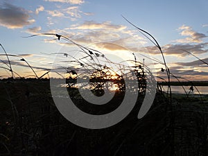 Chichester harbour sunset from Bosham hoe