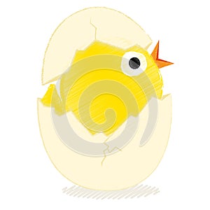 Chick with broken egg