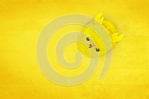 Chick Easter Decoration on a yellow background