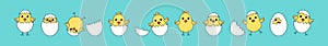 Chick Easter vector, cartoon eggand chicken baby, cute little bird, yellow funny animal set. Simple drawing illustration