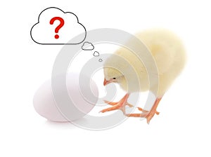 Chick and egg with question mark in thinking balloon