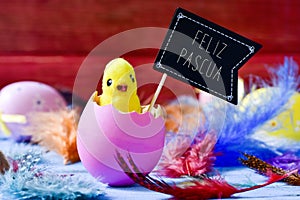 Chick emerging from an egg and text feliz pascua, happy easter i