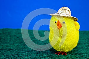 Chick in Hat