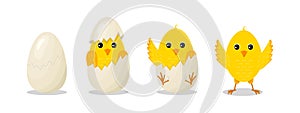 Chick hatch from egg. Step from cracked to hatch egg. Baby of chicken. Yellow bird with character. Little cute easter chick.