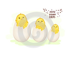 Chick. A hatched chicken. Cracked chicken egg, newborn bird cartoon