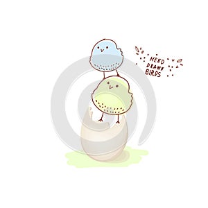 Chick. A hatched chicken. Cracked chicken egg, newborn bird cartoon