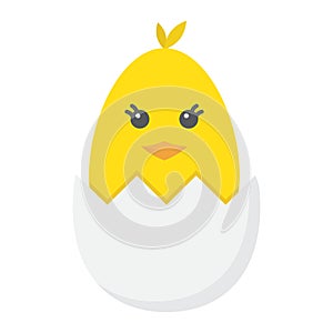 Chick hatched from an egg flat icon, easter