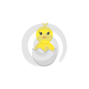 Chick hatched from an egg flat icon, holiday