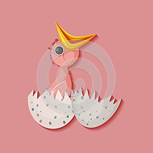 Chick hatching egg isolated