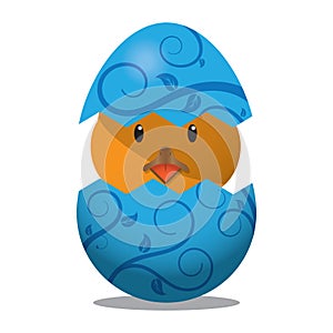 chick hatching out from easter egg. Vector illustration decorative design