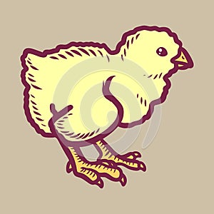 Chick icon, hand drawn style