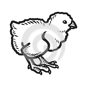 Chick icon, hand drawn style