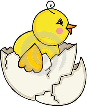 Chick leaving cracked egg