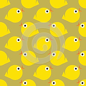 Chick pattern