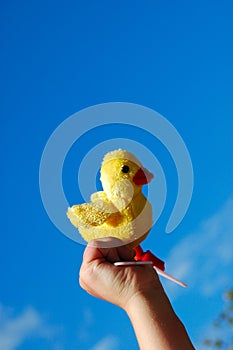 Chick toy in hand