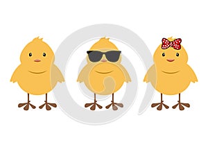 Chick Vector Illustration, Chick with Sunglasses, Baby Girl Chicken