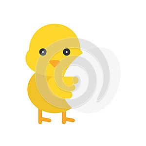 Chick vector, Isolated Easter flat style icon