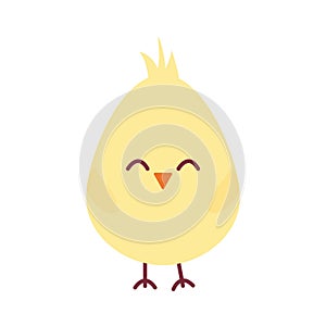 chick on a white background