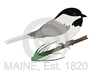 Chickadee Perched on Pine Tree Branch Celebrating State of Maine Anniversary 1820 with Clipping Path