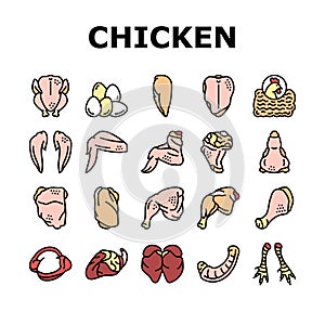 Chicken Animal Farm Raw Meat Food Icons Set Vector